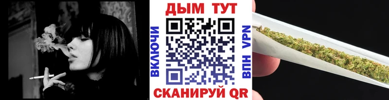 где найти   mega ссылка  Бошки марихуана ГИДРОПОН  darknet какой сайт  Протвино 